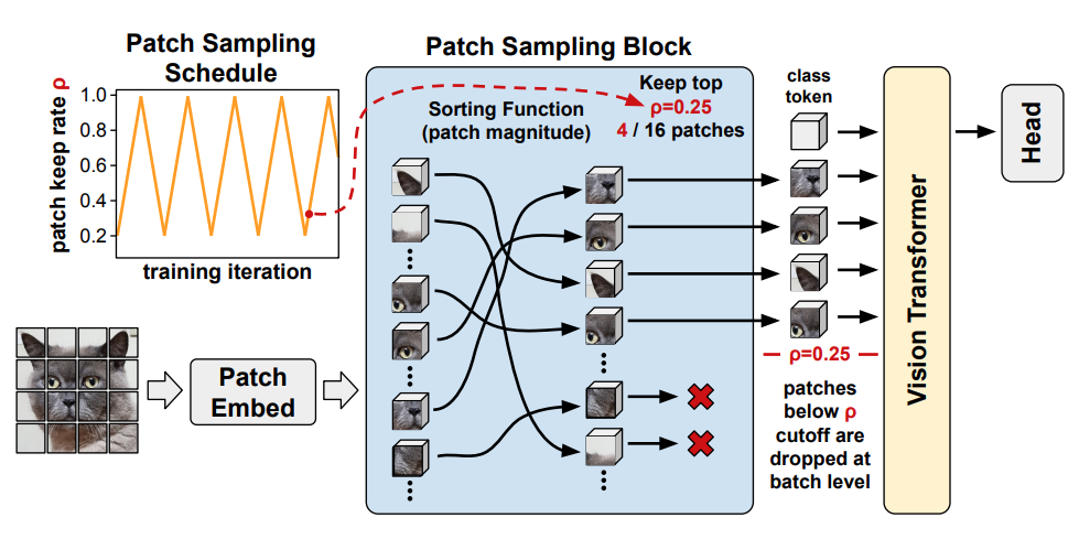 the diagram shows how patch sampling is used